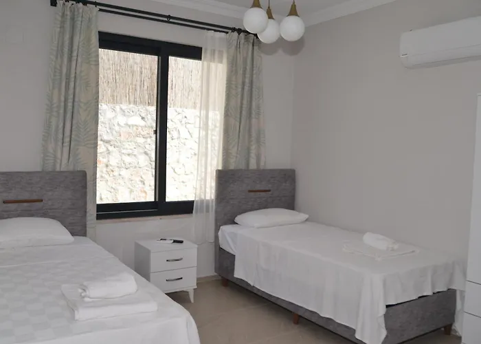 Hyvillas Huema